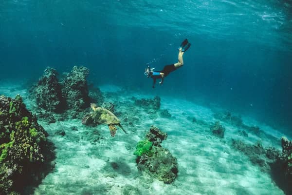 Schnorcheln im klaren Wasser vor Mallorca