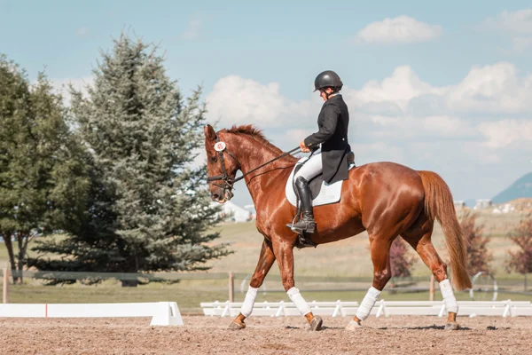 horseriding